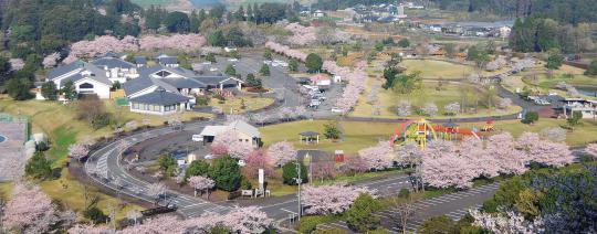 【終了】さくらフェスタ高城-1