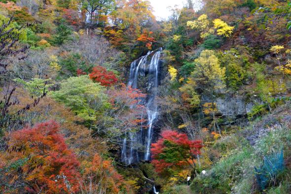 五ヶ瀬の白滝-0