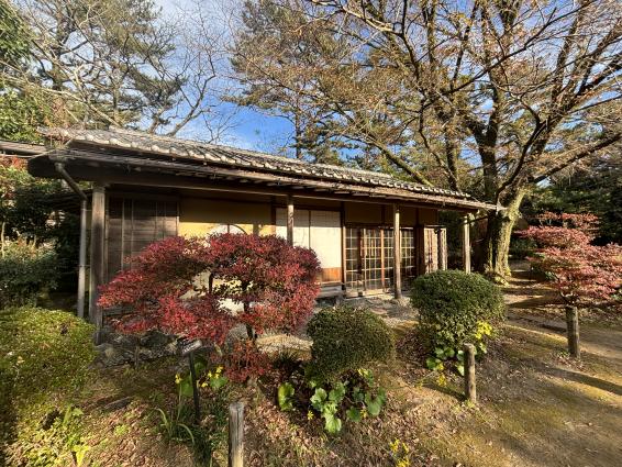 日向景修園・バラ園（ひなた宮崎県総合運動公園内）-8