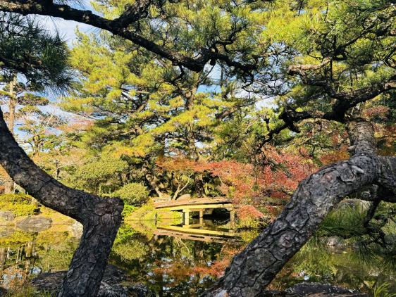 日向景修園・バラ園（ひなた宮崎県総合運動公園内）-7