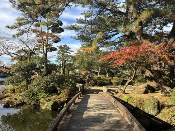 日向景修園・バラ園（ひなた宮崎県総合運動公園内）-6