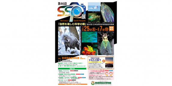 【2026】第46回SSP展-0