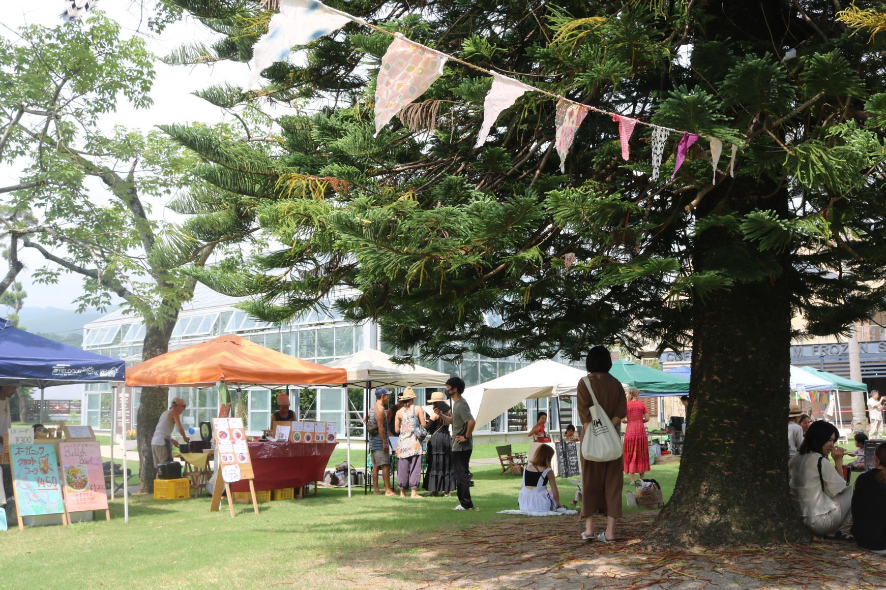 【2026】青島サンデーマーケット-1