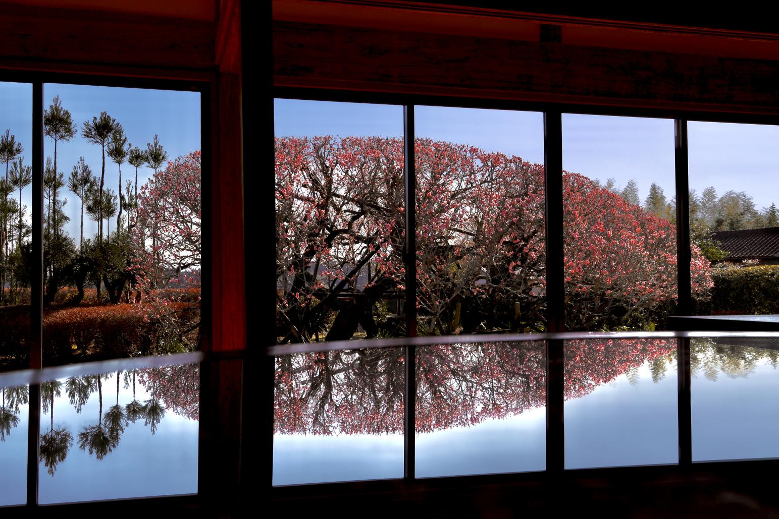 萬福寺-1