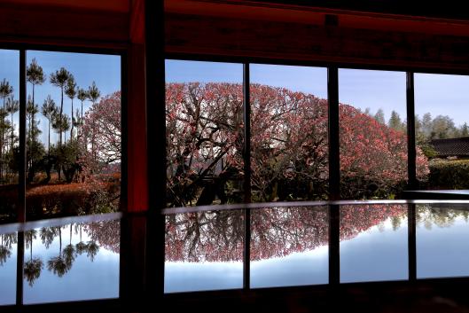 萬福寺-1
