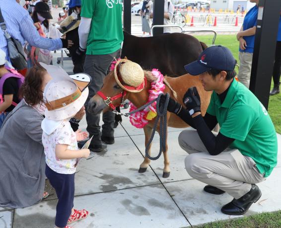第34回馬に親しむ日2025-0