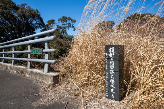 狗留孫大橋-0