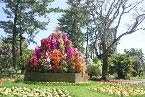 【2026】ブーゲンコレクション2026-0