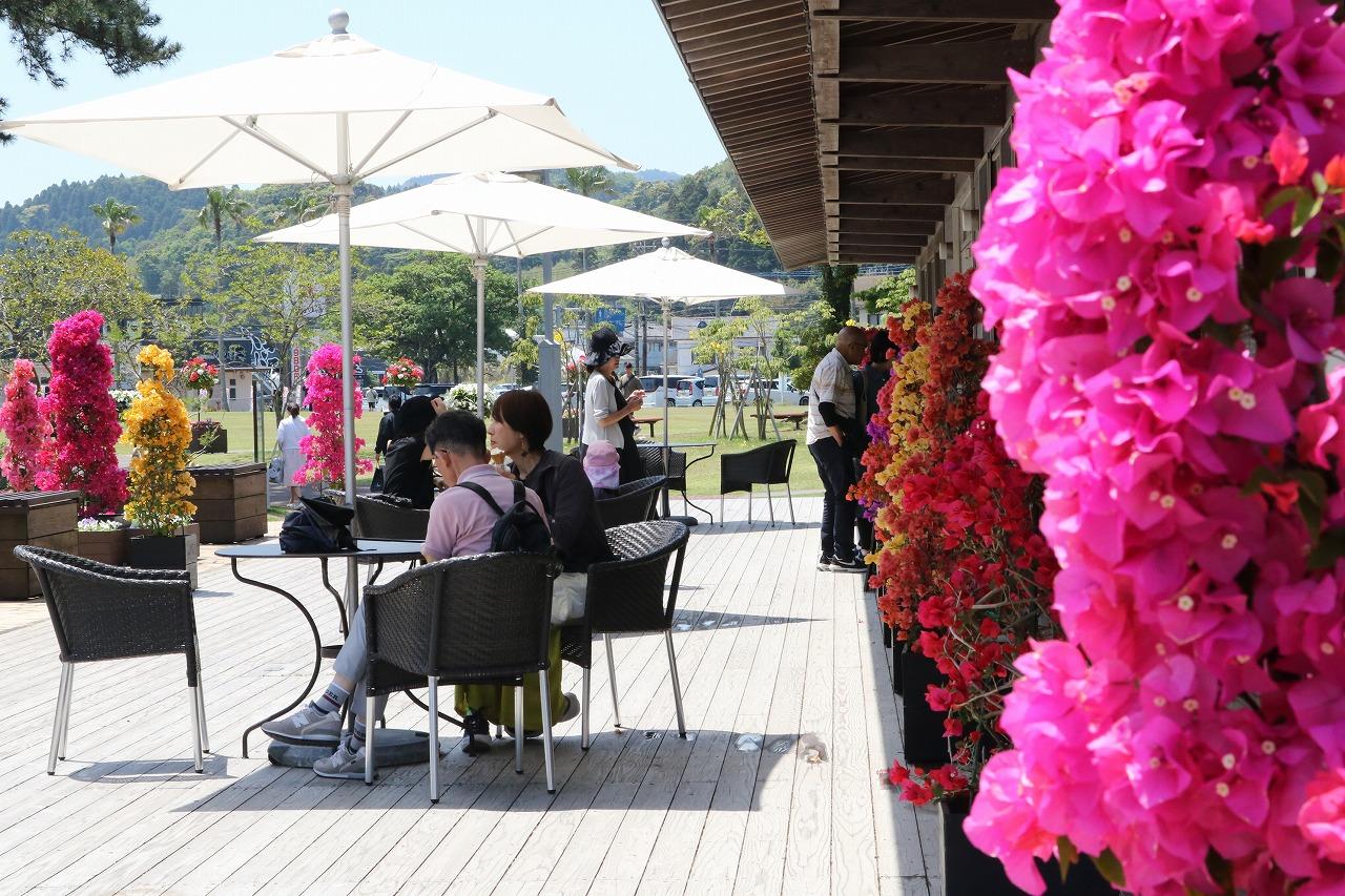 【2026】ブーゲンコレクション2026-2