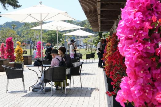 【2026】ブーゲンコレクション2026-2