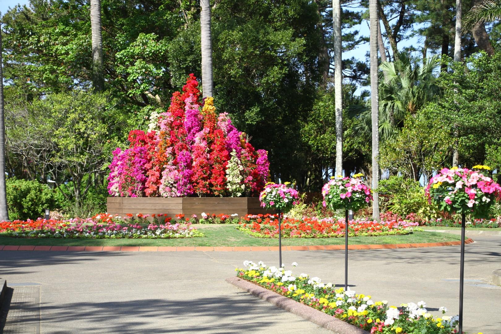 【2026】ブーゲンコレクション2026-1