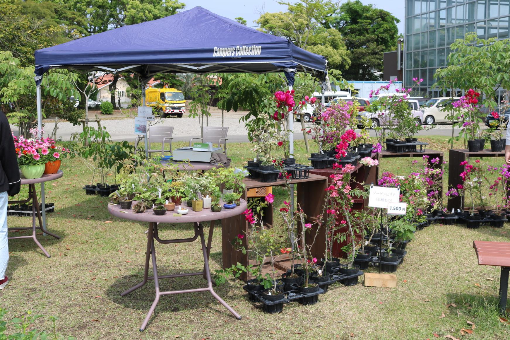 植物販売会-1