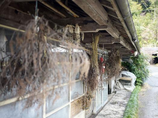 山の里-9