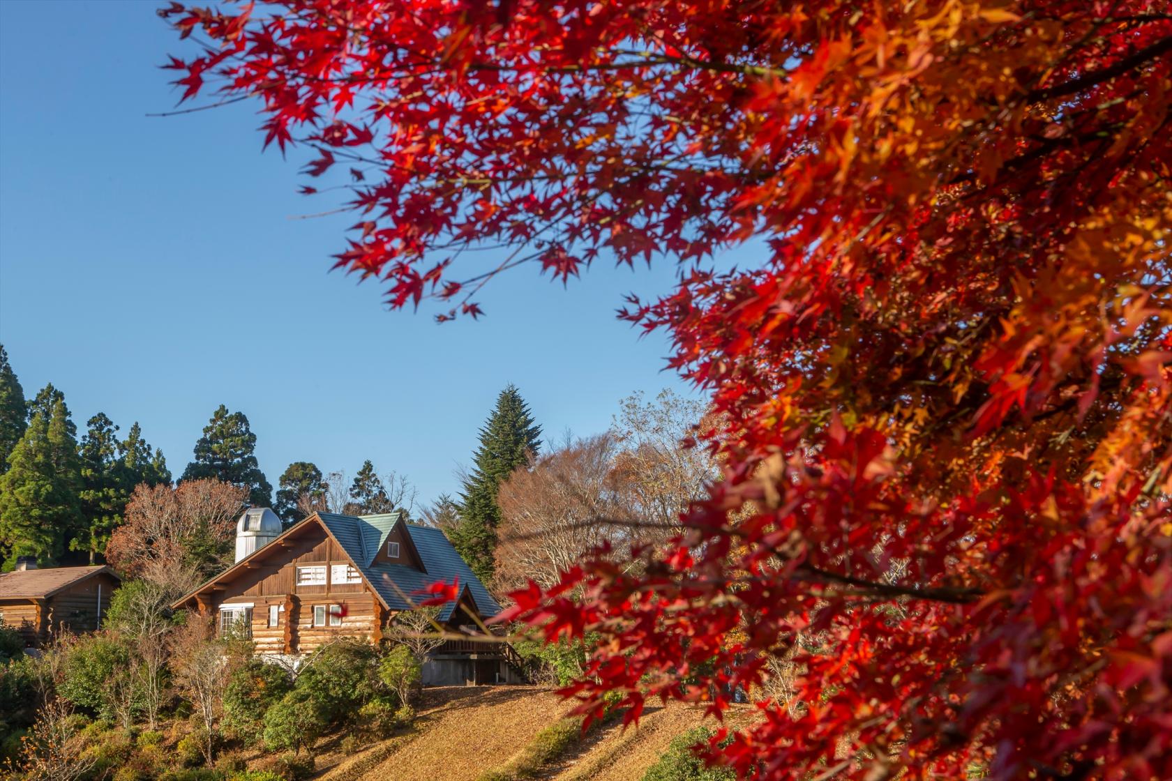 MOROTSUKA WELLNESS TOUR 2025 AUTUMN