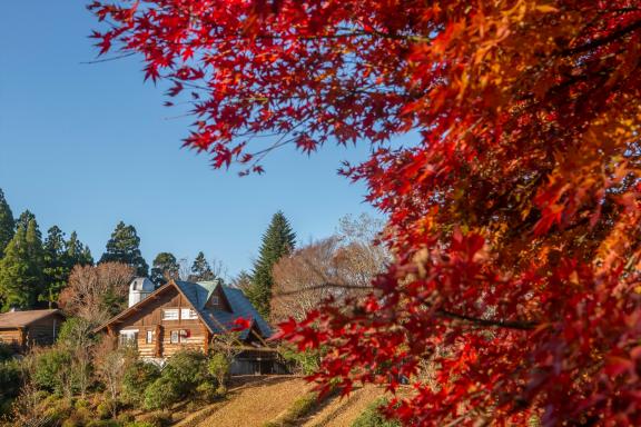 【～11/30】MOROTSUKA WELLNESS TOUR 2025 AUTUMN-0