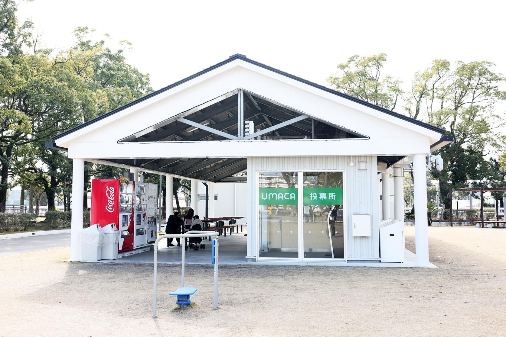 JRA　宮崎育成牧場-8