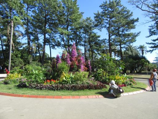 【～11/24】宮交ボタニックガーデン青島　秋のフラワーショー-2