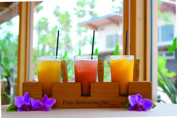 【～11/24】宮交ボタニックガーデン青島　秋のフラワーショー-5