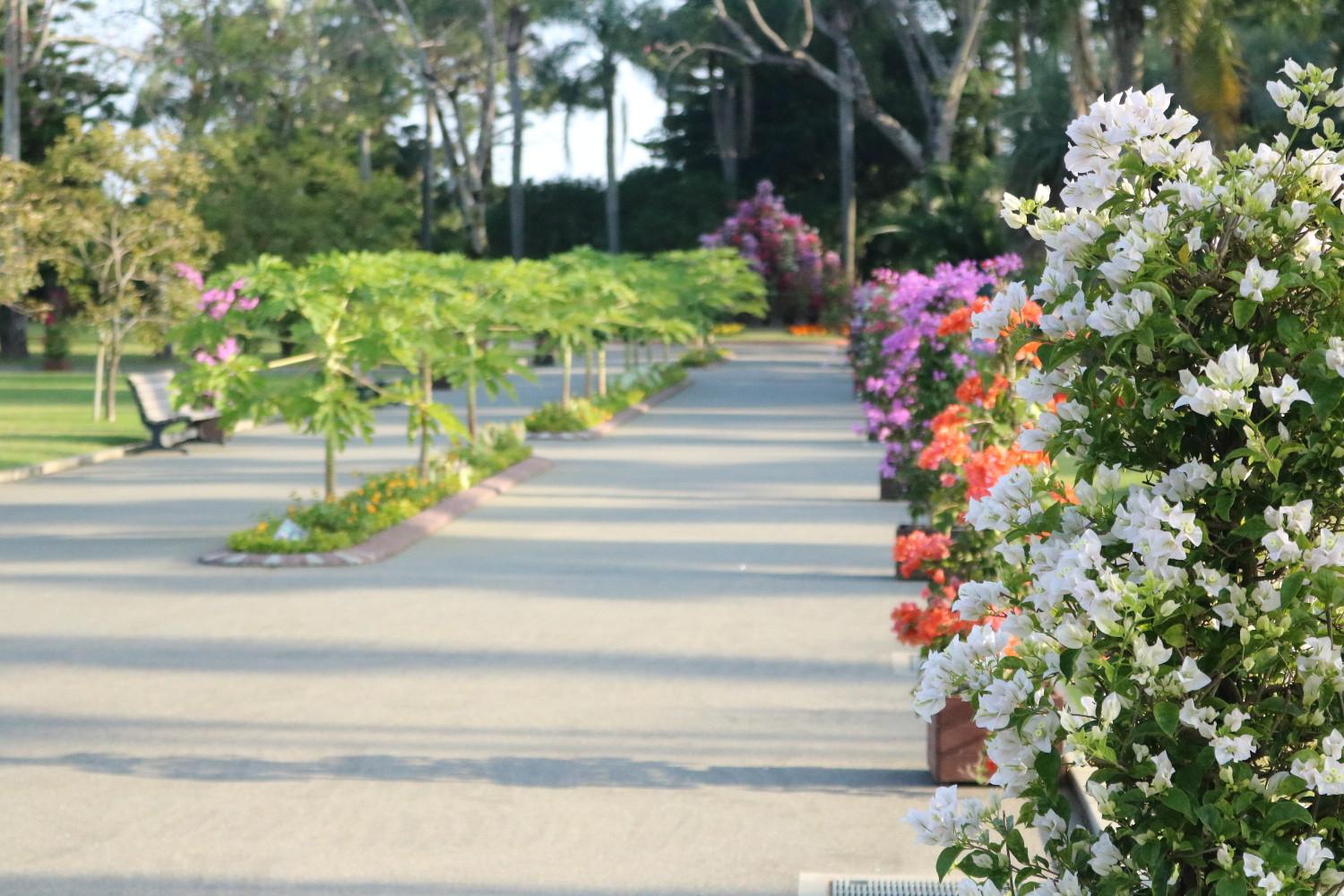 【～11/24】宮交ボタニックガーデン青島　秋のフラワーショー-1