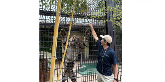 【2026】宮崎市フェニックス自然動物園トワイライトZOOウォッチャー-0