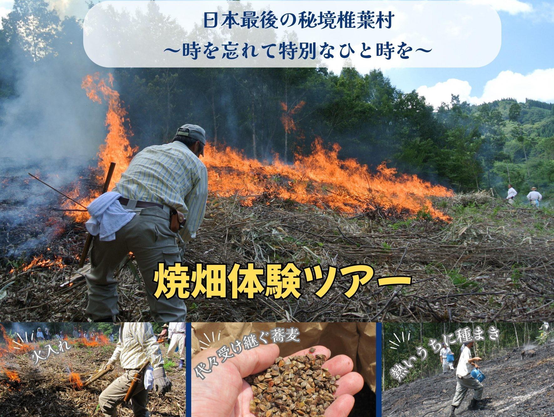 【2025】椎葉村　焼畑ツアー-1