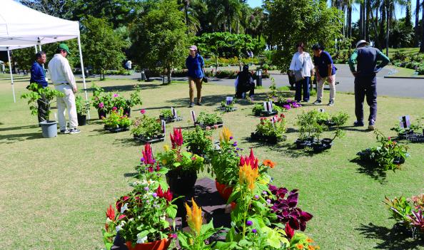 【～10/26】宮交ボタニックガーデン⻘島　秋の植物販売会-0