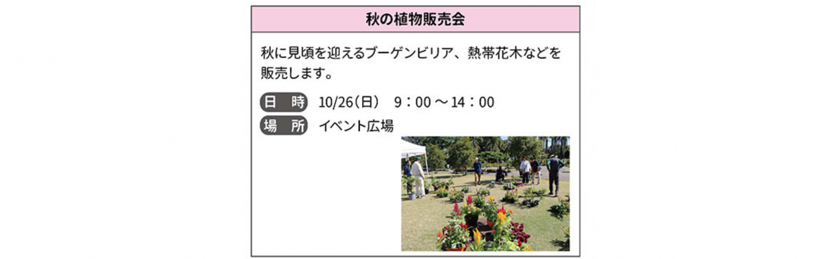 【～10/26】宮交ボタニックガーデン⻘島　秋の植物販売会-1