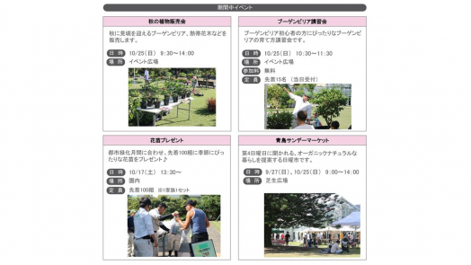 【2026】秋のフラワーショー-1