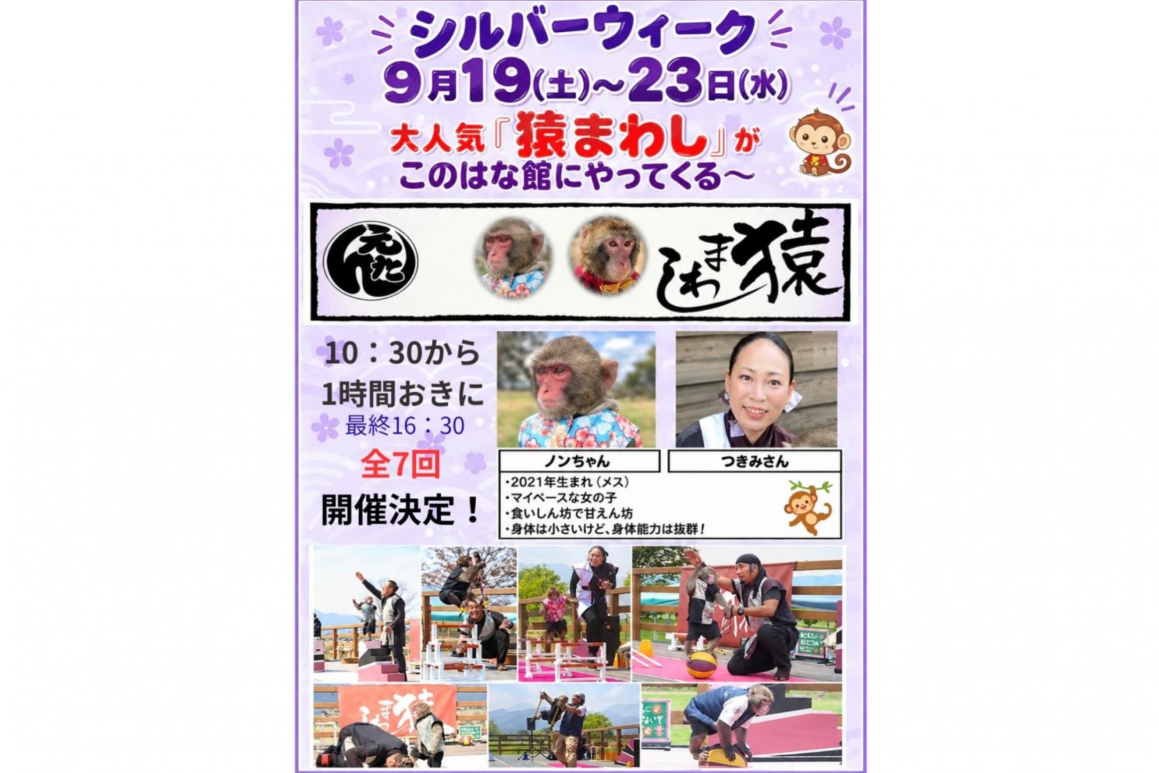 【2026】猿まわし-1