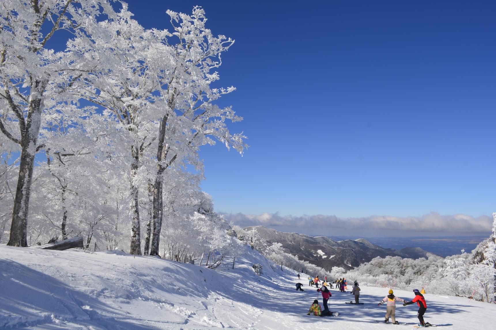 【2025～2026】五ヶ瀬ハイランドスキー場 2026 SEASON-3