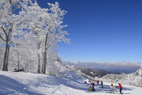 【2025～2026】五ヶ瀬ハイランドスキー場 2026 SEASON-3