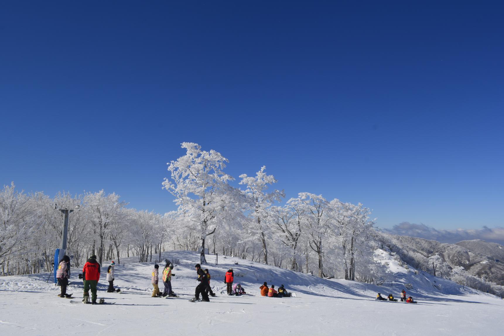 【2025～2026】五ヶ瀬ハイランドスキー場 2026 SEASON-2