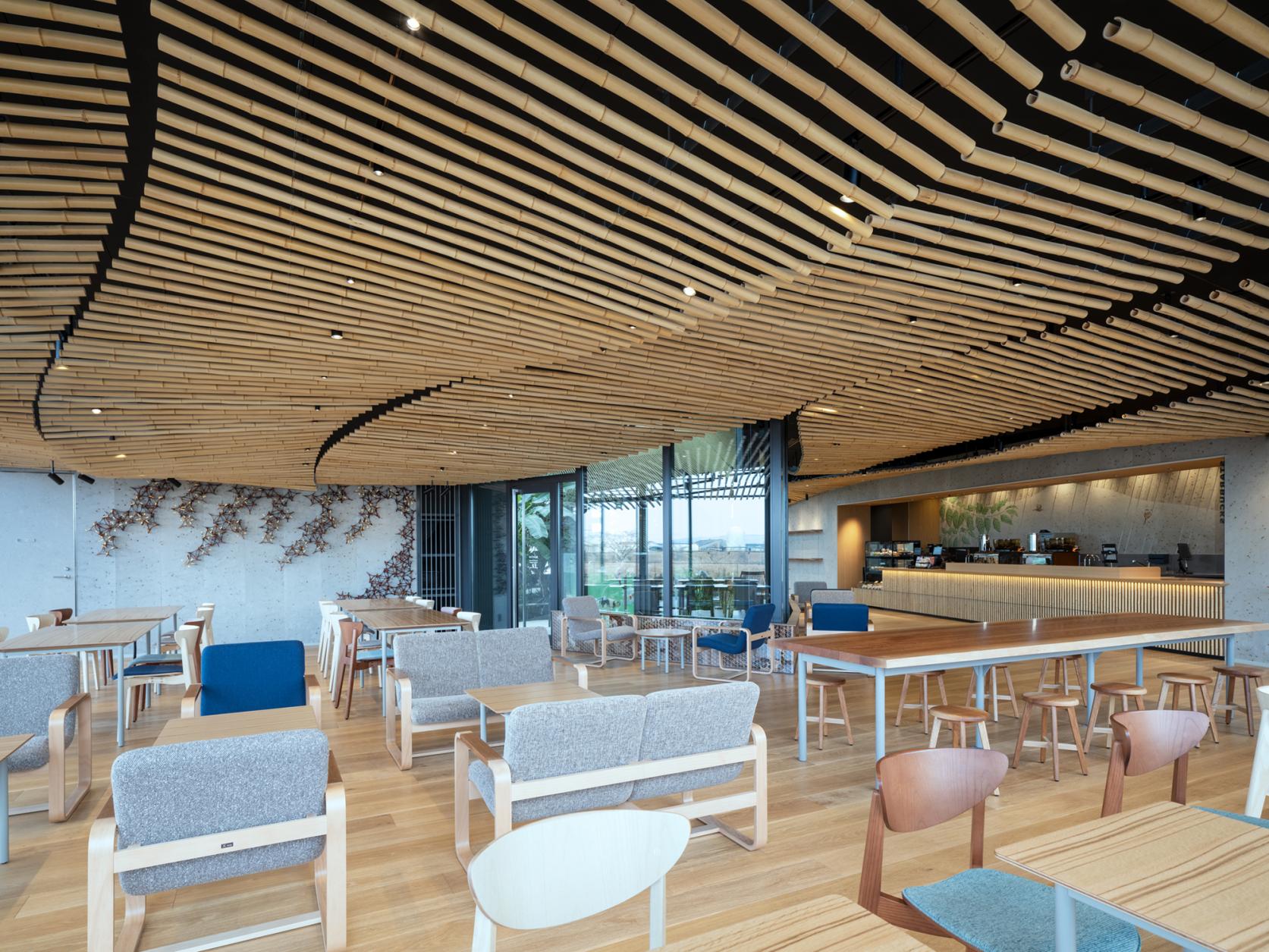 KIRISHIMA GREENSHIP icoia（キリシマ グリーンシップ イコイア）-6