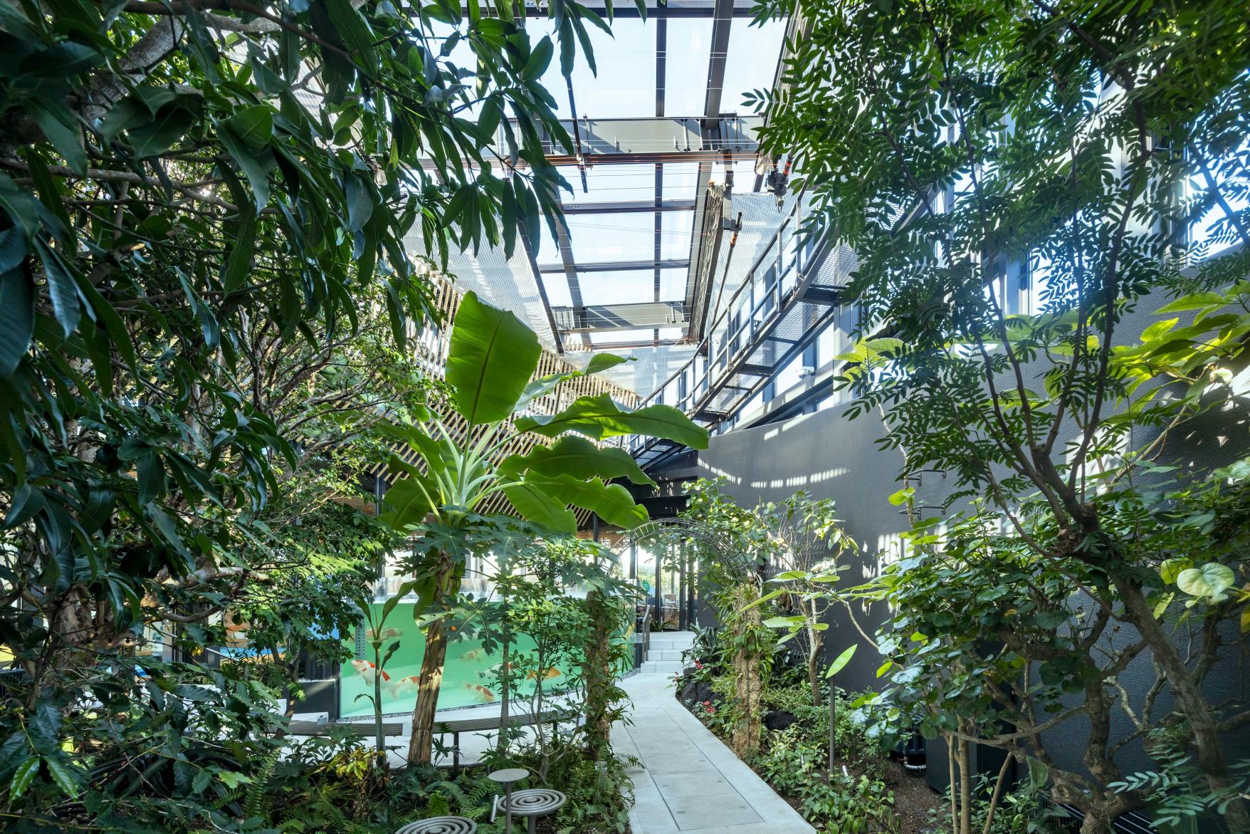 KIRISHIMA GREENSHIP icoia（キリシマ グリーンシップ イコイア）-5