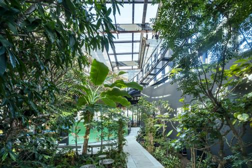 KIRISHIMA GREENSHIP icoia（キリシマ グリーンシップ イコイア）-5