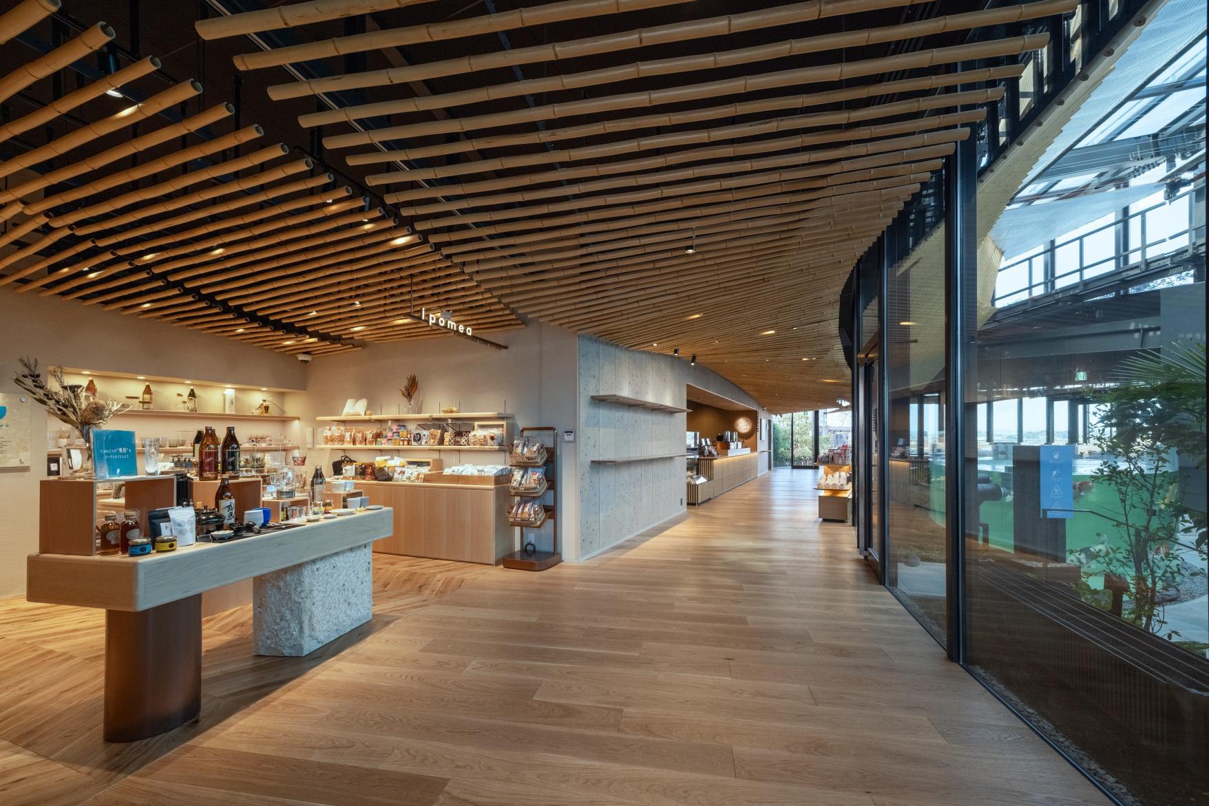 KIRISHIMA GREENSHIP icoia（キリシマ グリーンシップ イコイア）-4