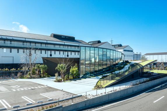 KIRISHIMA GREENSHIP icoia（キリシマ グリーンシップ イコイア）-1