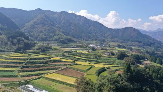 尾戸の口棚田-6