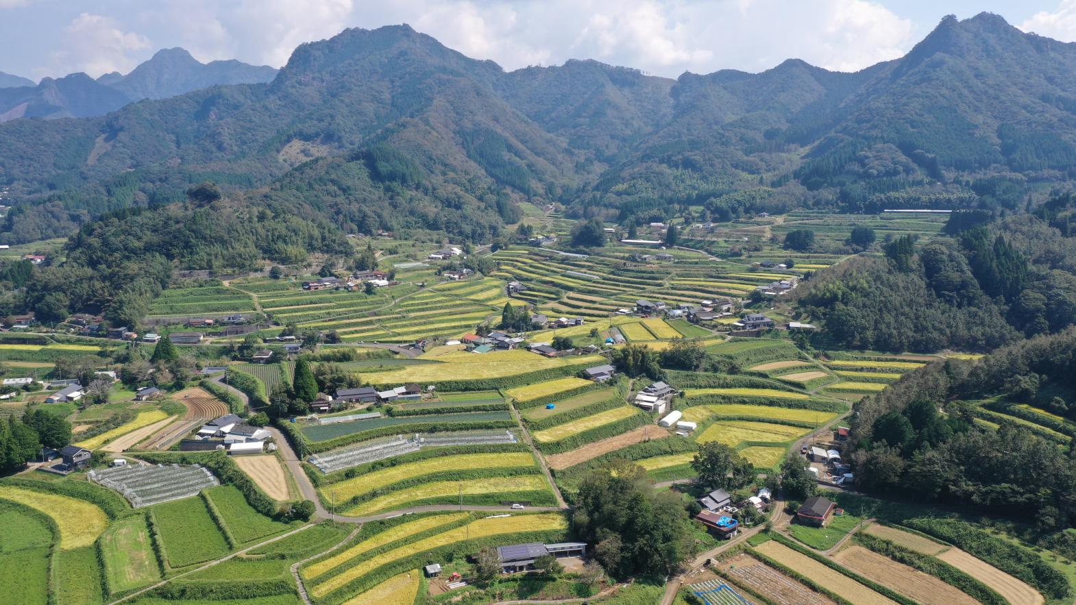 尾戸の口棚田-4