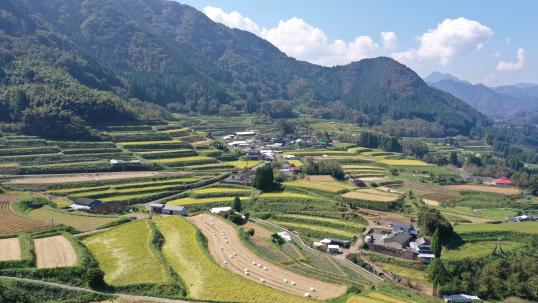 尾戸の口棚田-2