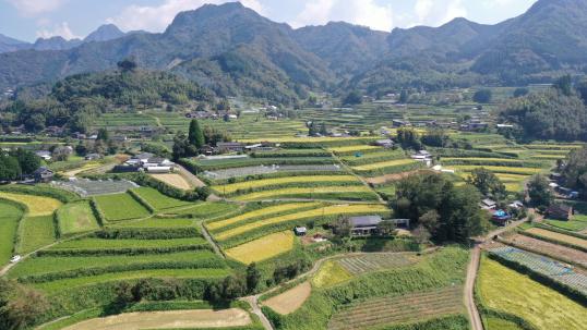 尾戸の口棚田-5