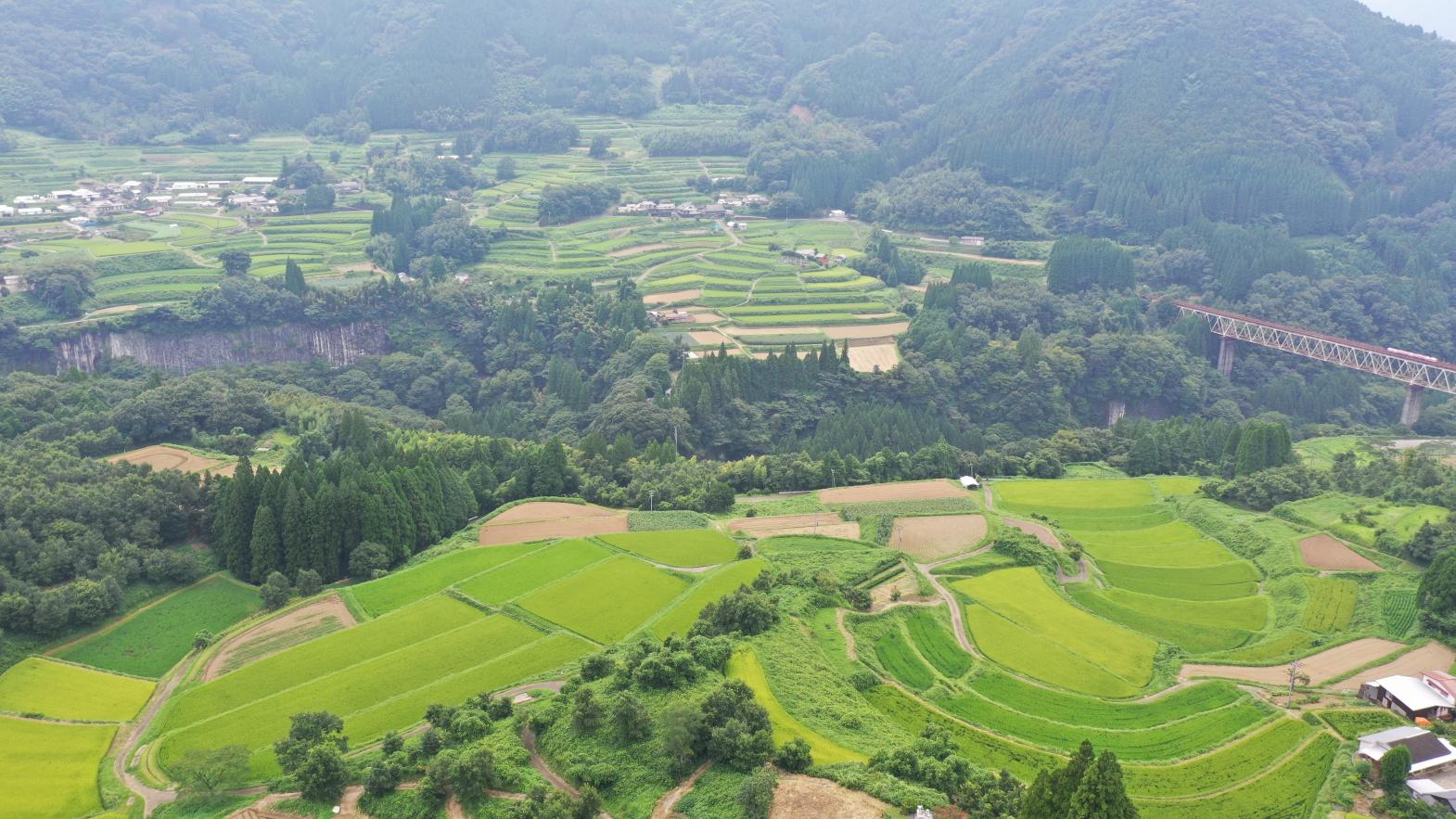 尾戸の口棚田-1