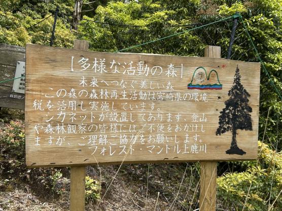 鬼の目山（杉）-2