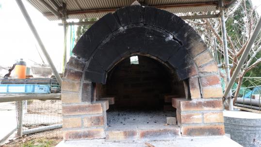 高千穂きらら-1