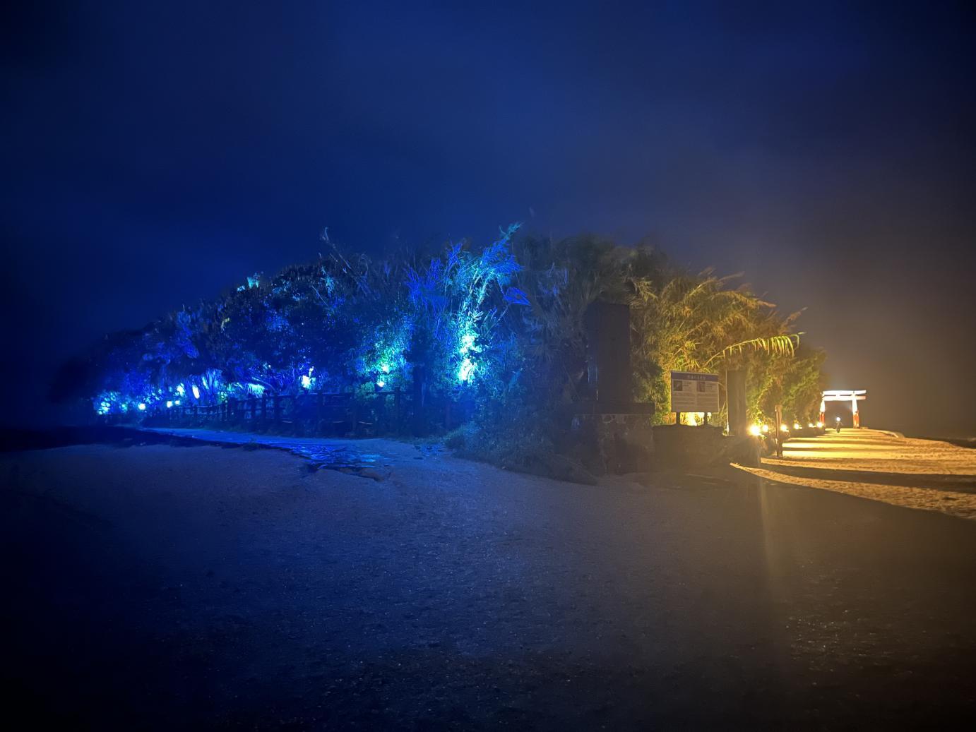 【2026】青島ライトアップ(期間限定)-1