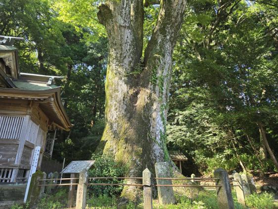 下野八幡大神社-3