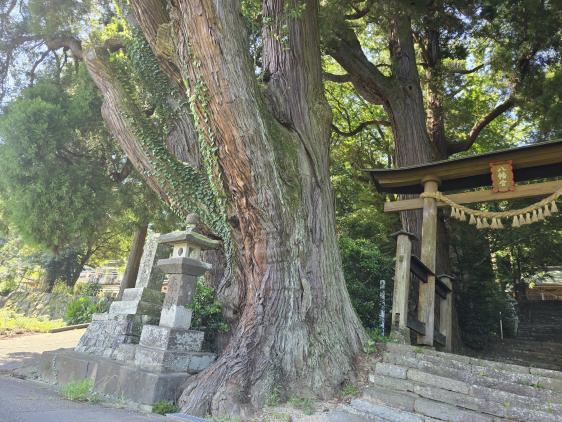 下野八幡大神社-2