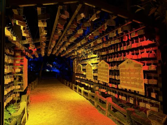 【2026】日没後の青島神社へ！期間限定の夜間特別参拝「AOSHIMA Night Up」-2