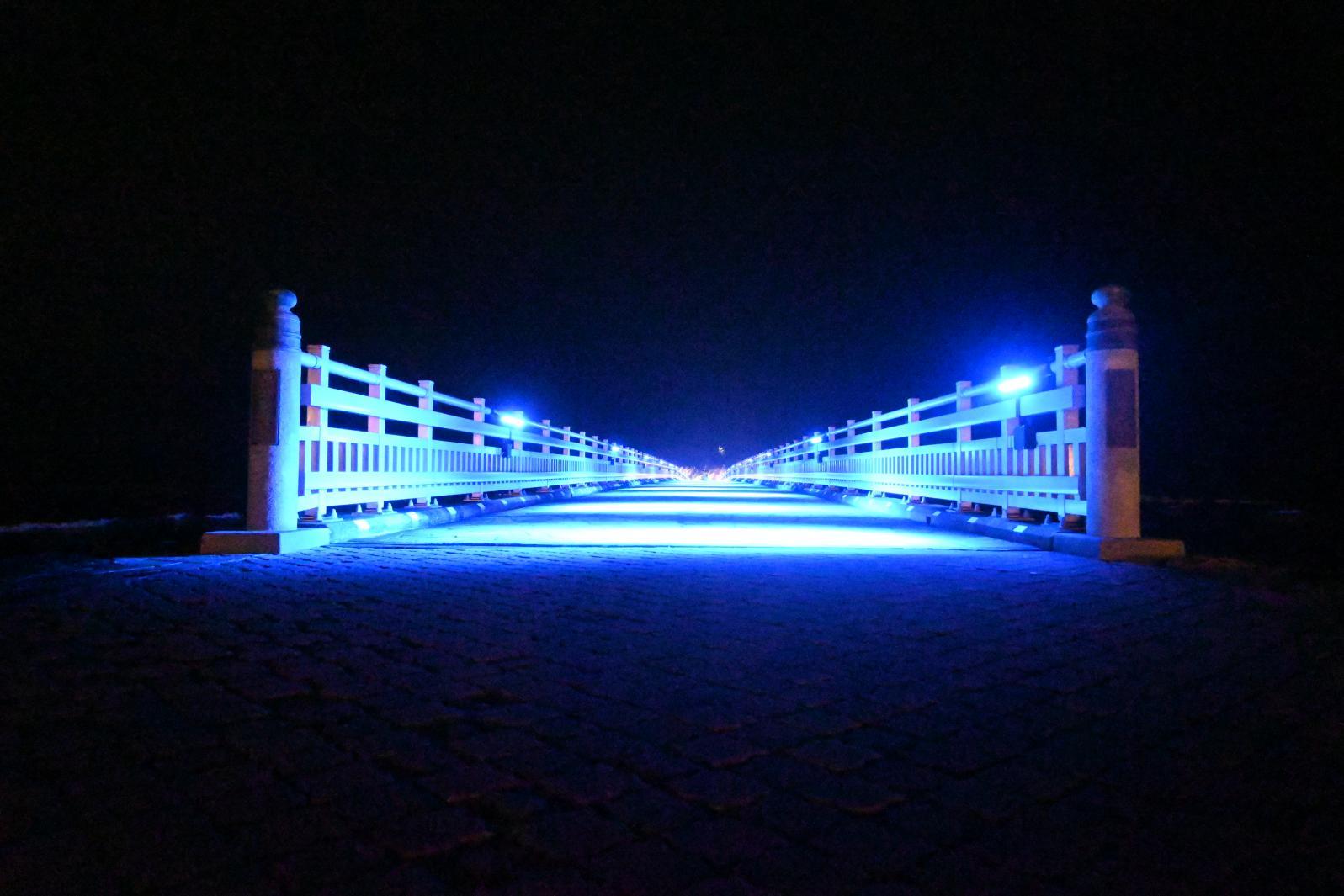 【2026】日没後の青島神社へ！期間限定の夜間特別参拝「AOSHIMA Night Up」-1