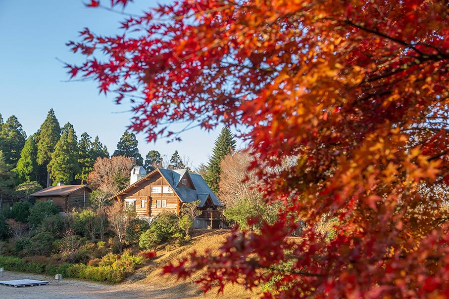【2026】諸塚村 森のウェルネスプログラム 秋リトリート Thanksgiving Retreat 森の恵みの収穫祭　-1